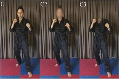 The role of the opponent's head in perception of kick target location in martial arts